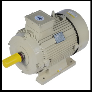 ELECTRIC MOTOR 3 PHASE 